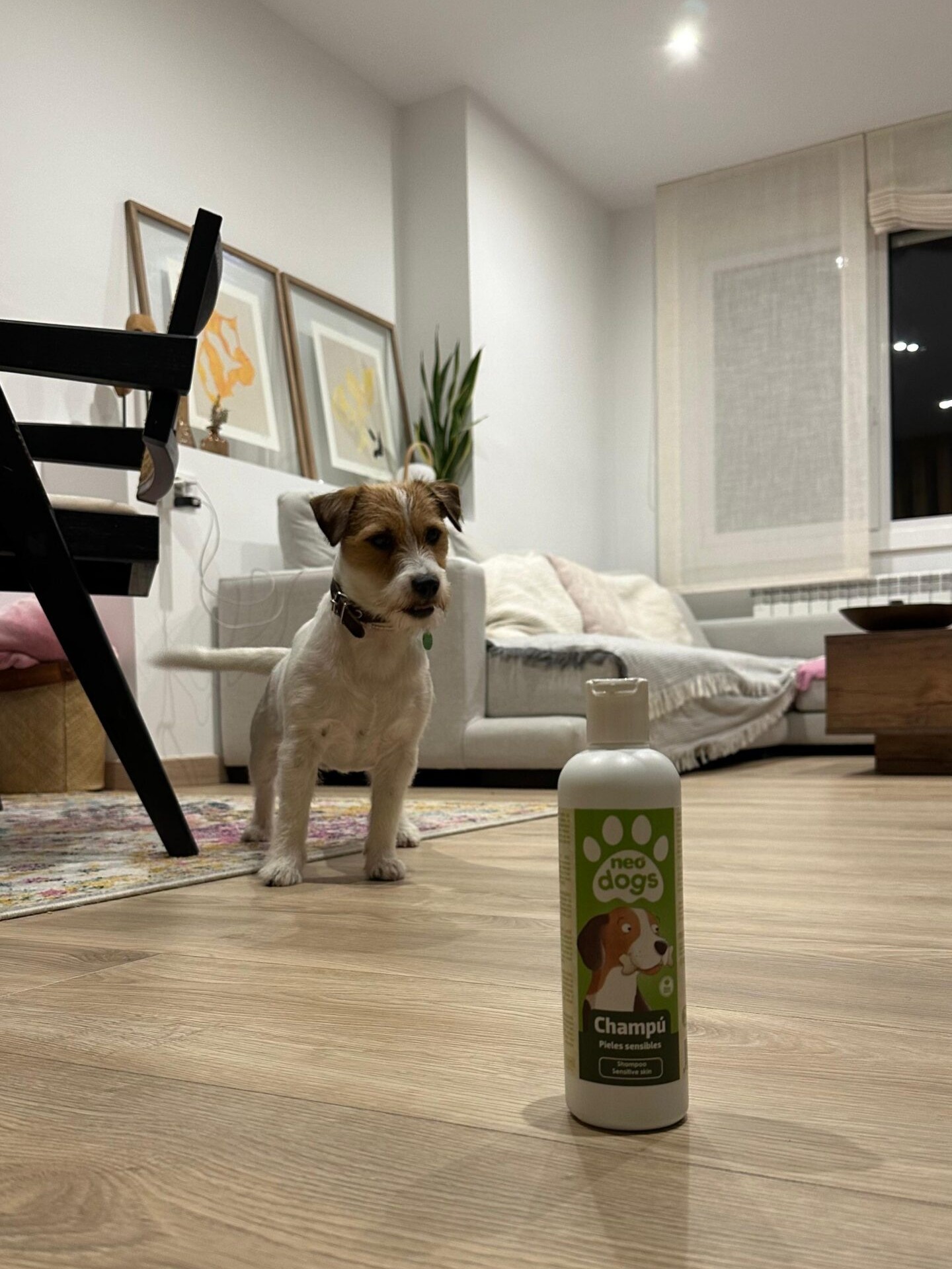 Higiene y cuidado para mascotas en Farmacia Gil Pérez